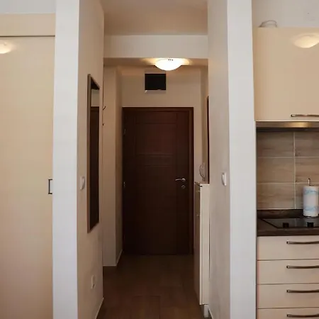Apartment Svetogorska